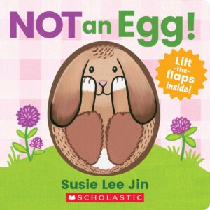 Not an Egg | lift the flaps | Boardbook