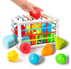 Montessori Fine Motor Skill Toy